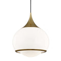Reese 1 Light Large Pendant Light - Aged Brass