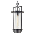 Carroll Park 1 Light Pendant Light