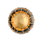 Magic Garden 1 Light Wall Sconce - Black Graphite & Bronze Leaf