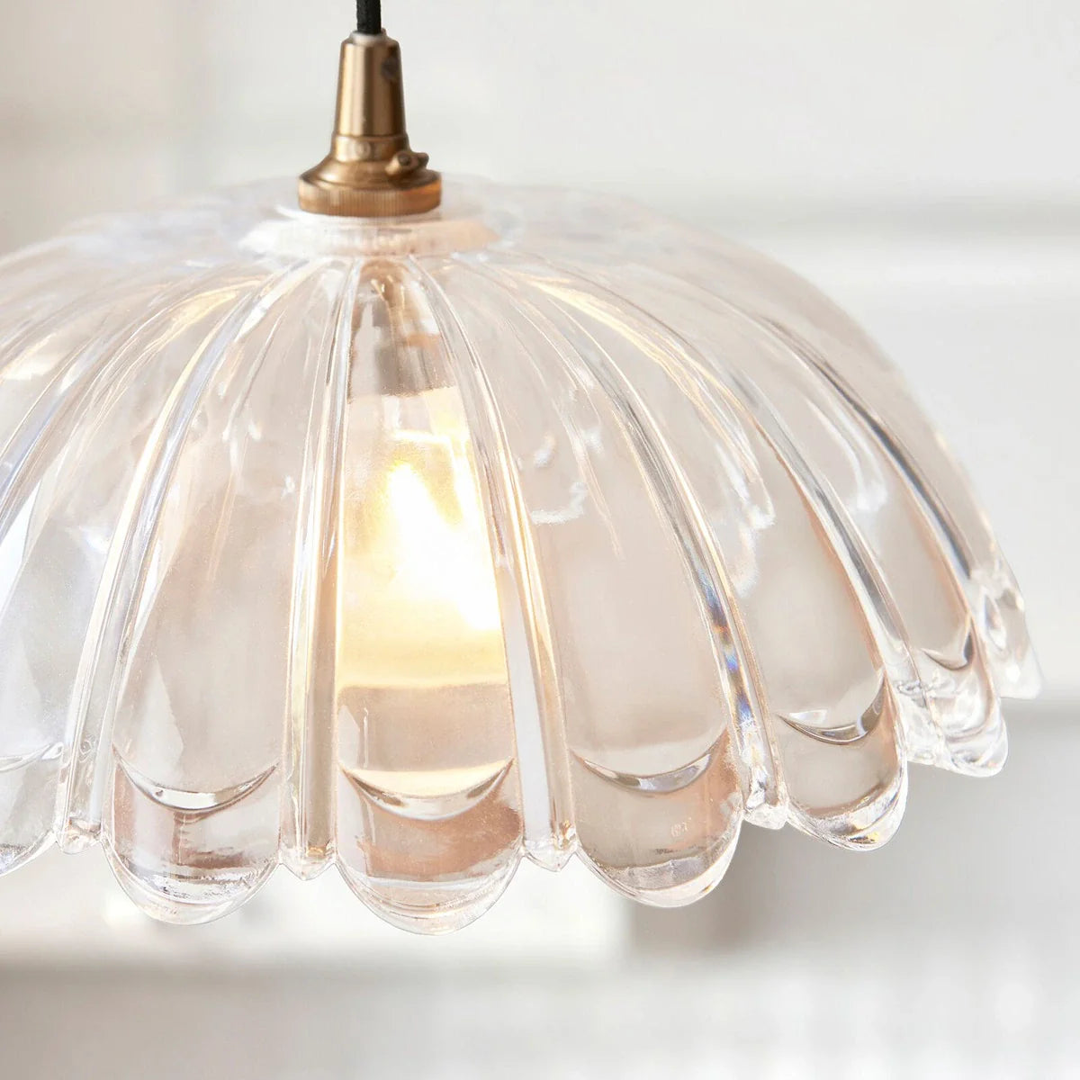 Carnation 1 Pendant Light - Clear