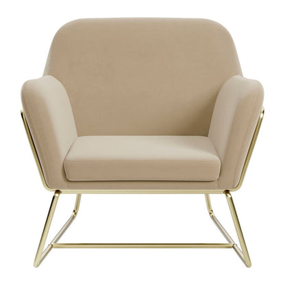 Theodore Armchair - Beige Velvet & Gold